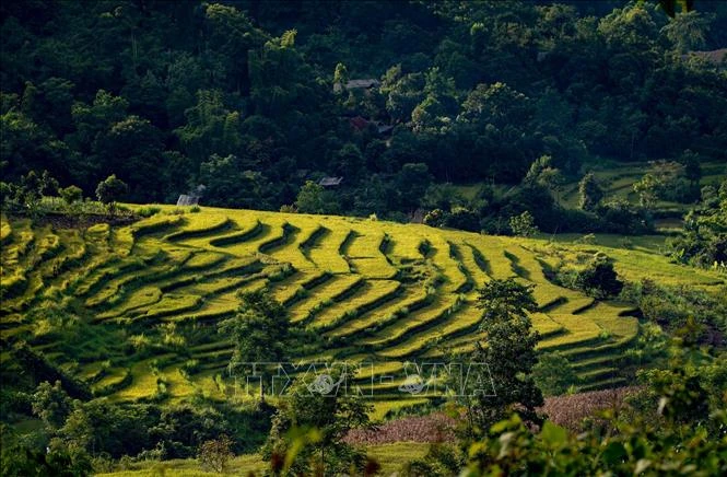 Phó Thủ tướng Vũ Đức Đam: Ngành Du lịch khẩn trương khôi phục lại hoạt động an toàn, chắc chắn