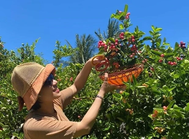 Đến Ninh Sơn trải nghiệm du lịch sinh thái nông nghiệp