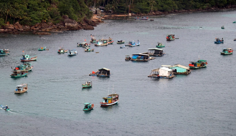 Kiên Giang phát triển nuôi cá lồng bè trên biển