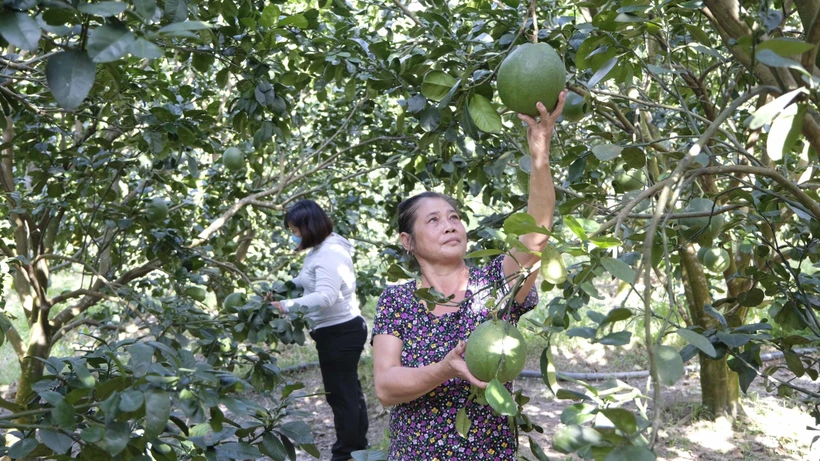 Khánh Hòa còn nhiều khó khăn trong công tác giảm nghèo