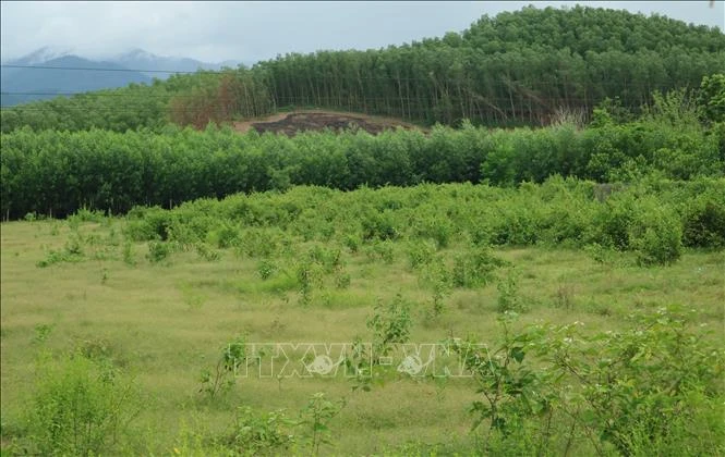Nỗ lực phủ xanh đất trống, đồi trọc tại huyện miền núi Khánh Vĩnh