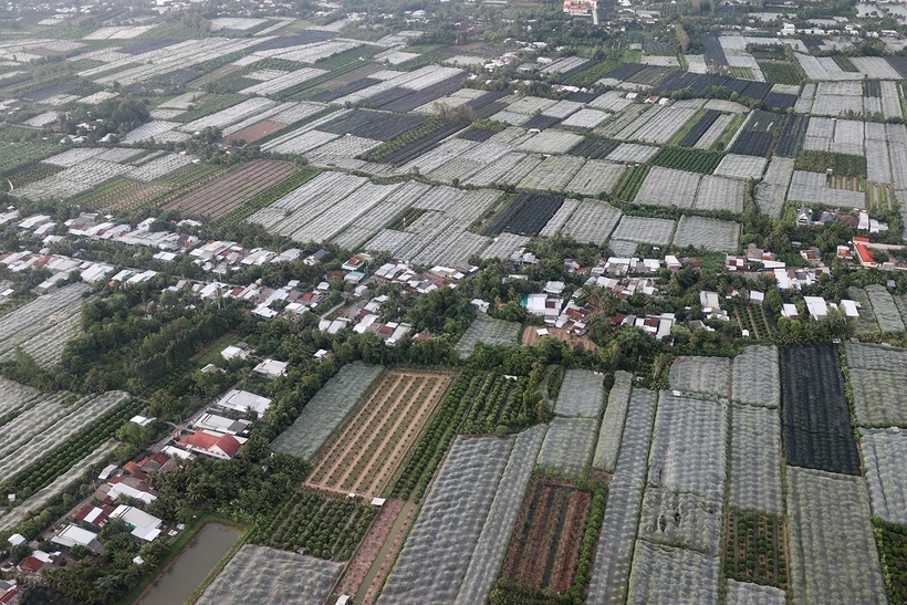 Ban hành Hệ thống chỉ tiêu thống kê cấp tỉnh, cấp huyện, cấp xã