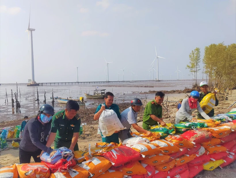 Bạc Liêu khẩn trương khắc phục sạt lở đoạn đầu tuyến đê biển Đông 