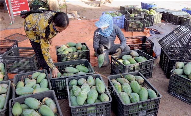 Sơn La xây dựng kế hoạch kết nối, xúc tiến tiêu thụ nông sản