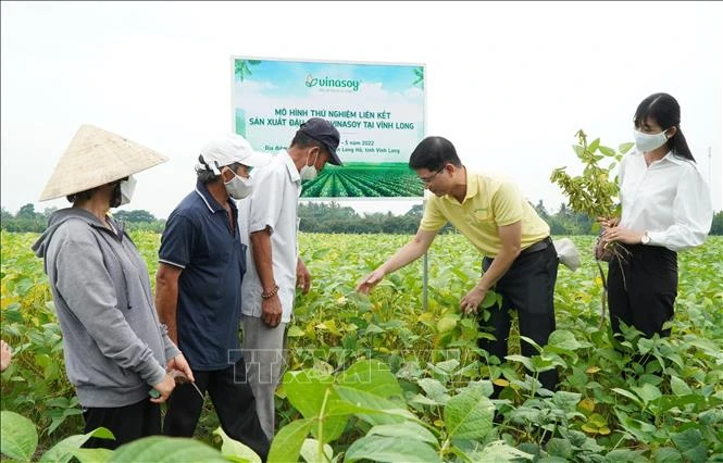 Sóc Trăng mở rộng, phát triển mô hình sản xuất nông nghiệp hữu cơ