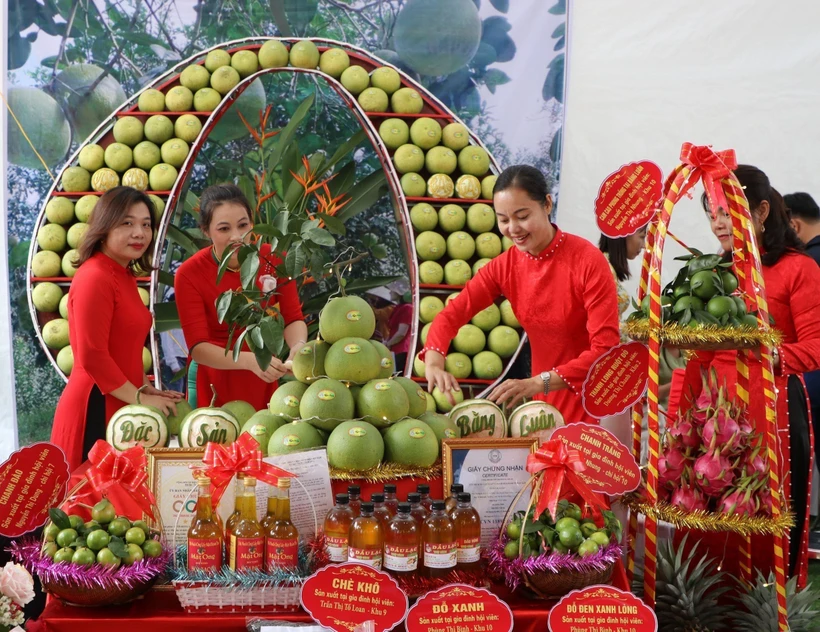 Tìm đường xuất ngoại cho bưởi đặc sản Đoan Hùng
