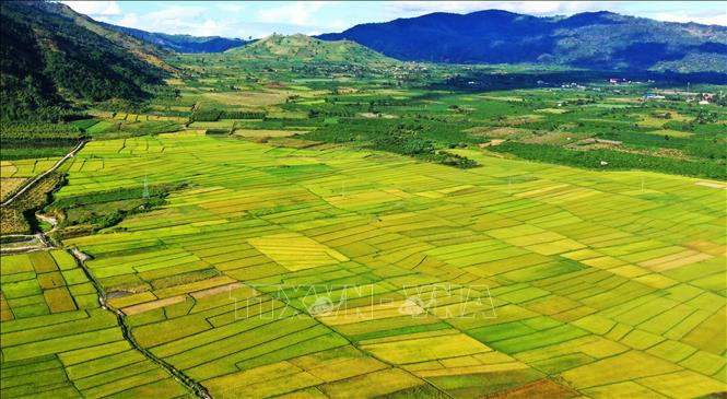Chư Păh vươn mình nơi cửa ngõ phía Bắc Gia Lai