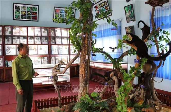 Bảo tồn giá trị đa dạng sinh học tại Khu Bảo tồn thiên nhiên Kon Chư Răng