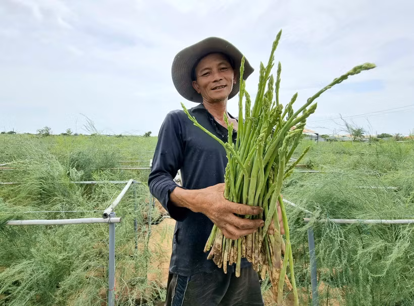 Ước năm 2023, tỷ lệ hộ nghèo theo chuẩn nghèo đa chiều còn 2,93%