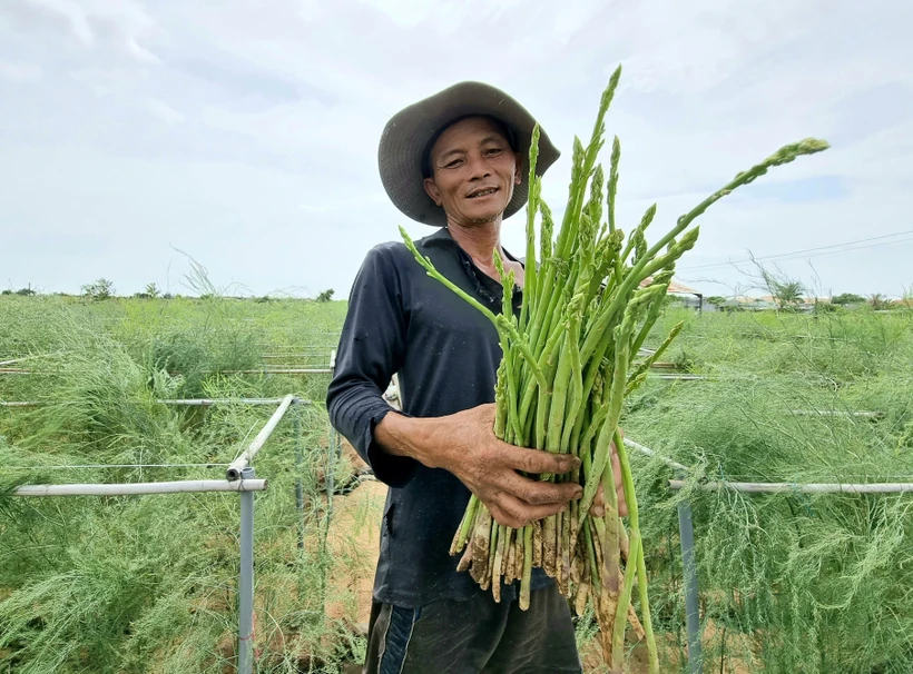 Ước năm 2023, tỷ lệ hộ nghèo theo chuẩn nghèo đa chiều còn 2,93%