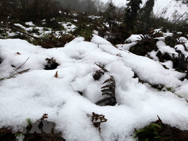 Nhiều khả năng xảy ra mưa tuyết và băng giá ở Lào Cai, Lai Châu trong mấy ngày tới 