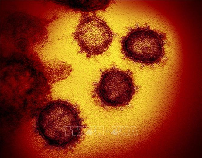 Giới khoa học theo dõi biến thể mới XE của virus SARS-CoV-2
