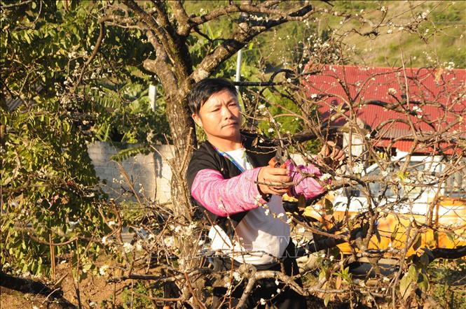 Mộc Châu quan tâm, chăm lo đời sống vùng đồng bào dân tộc Mông