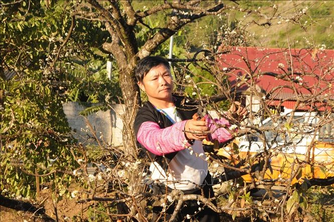 Mộc Châu quan tâm, chăm lo đời sống vùng đồng bào dân tộc Mông