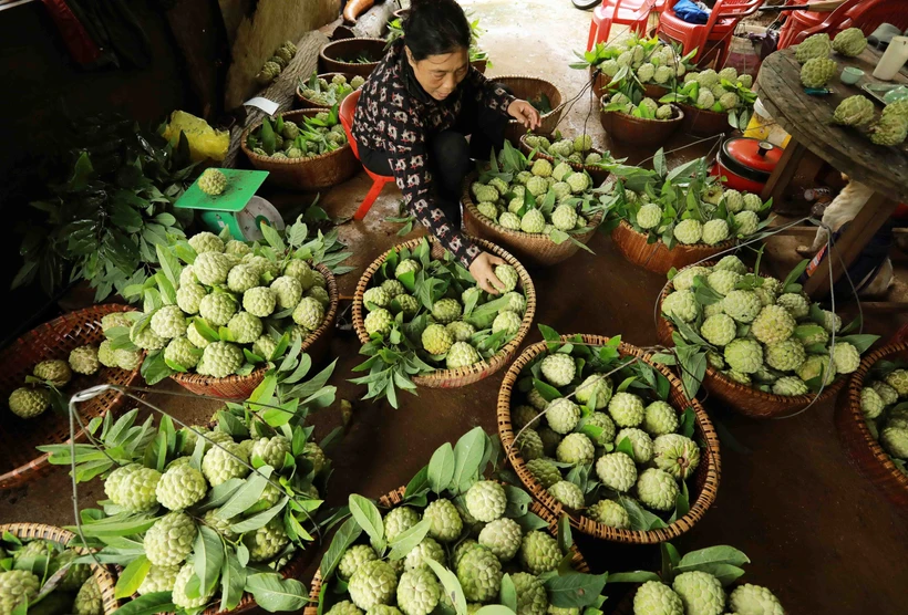 Khởi sắc nông thôn mới vùng cao Xứ Lạng (Bài cuối)