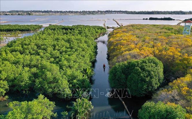 Ngăn chặn đà suy giảm đa dạng sinh học ở Việt Nam (Bài 1)