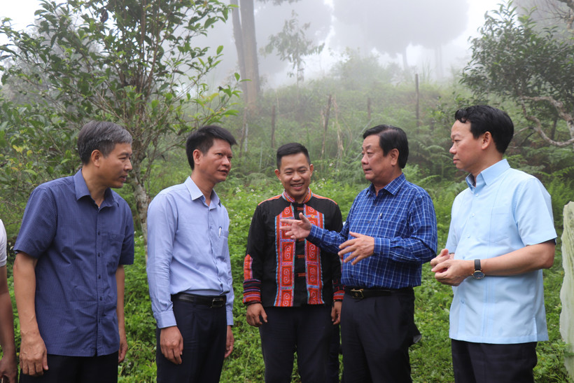 Yên Bái phát triển bền vững theo hướng "xanh, hài hòa, bản sắc và hạnh phúc"