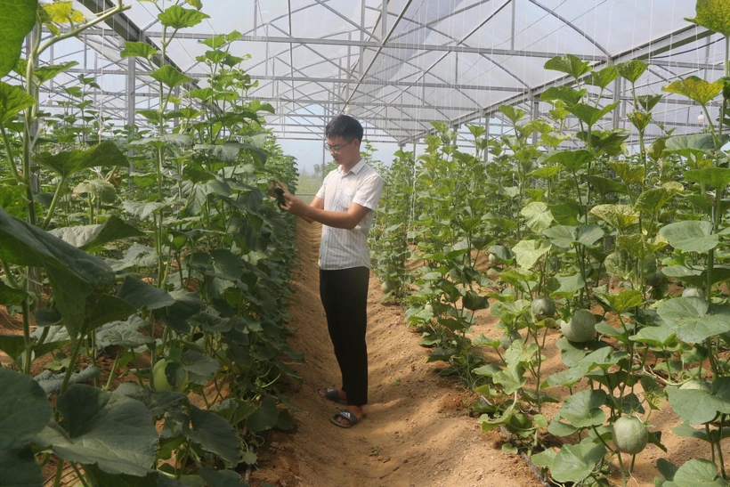 Ứng dụng lưu trữ hồ sơ và áp dụng lịch canh tác trong sản xuất nông nghiệp ở Nghệ An