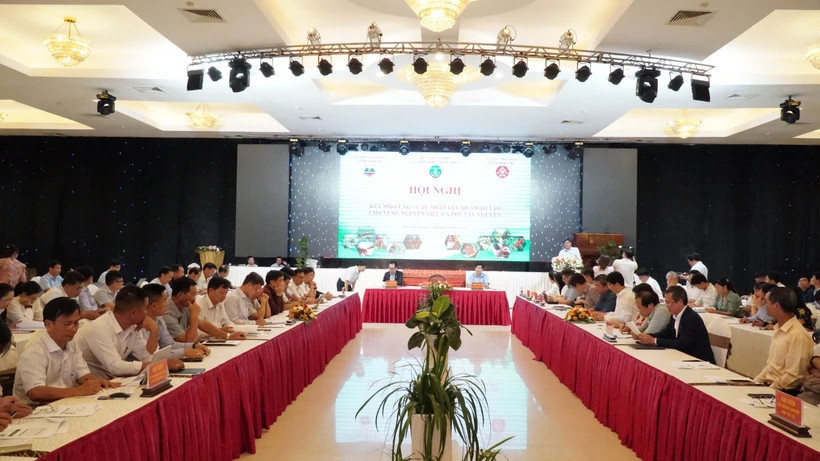 Đào tạo nguồn nhân lực cho vùng nguyên liệu cà phê Tây Nguyên