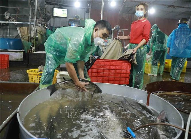 Dịch COVID-19: Không để dịch chồng dịch trong mùa Đông Xuân