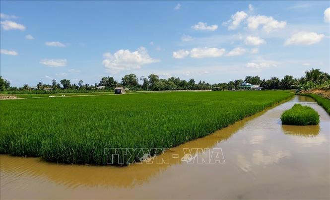 Bạc Liêu ứng dụng công nghệ trong phát triển nuôi trồng thủy sản