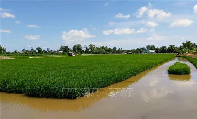 Bạc Liêu ứng dụng công nghệ trong phát triển nuôi trồng thủy sản