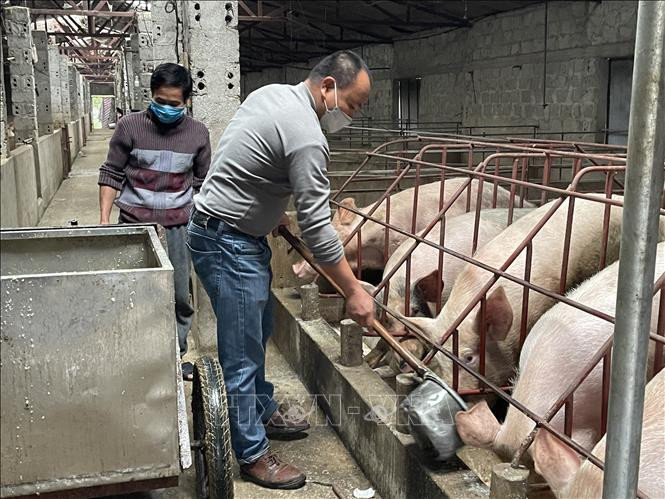 Phát huy vai trò tiên phong của đảng viên trong phát triển kinh tế ở huyện miền núi Thạch Thành