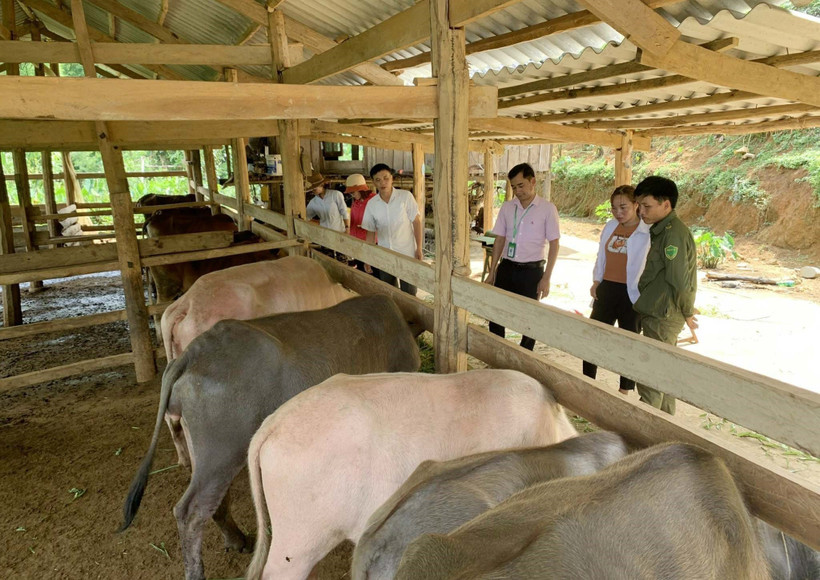 Lai Châu nhân rộng gương nông dân làm kinh tế giỏi