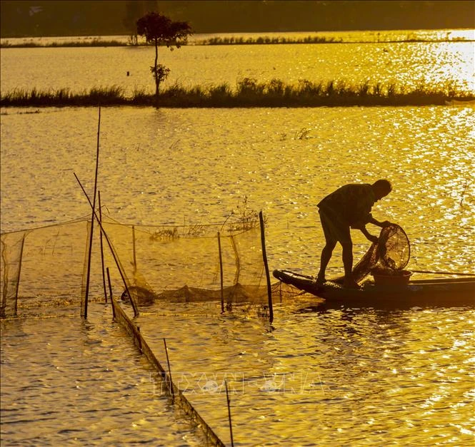 Hậu Giang mùa nước nổi