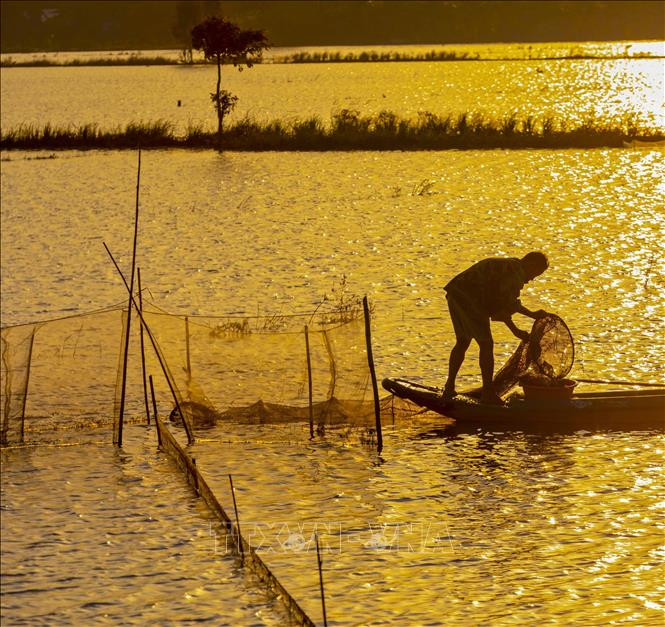 Hậu Giang mùa nước nổi
