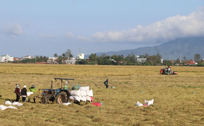 Phú Yên hướng sản xuất nông nghiệp hữu cơ phục vụ xuất khẩu