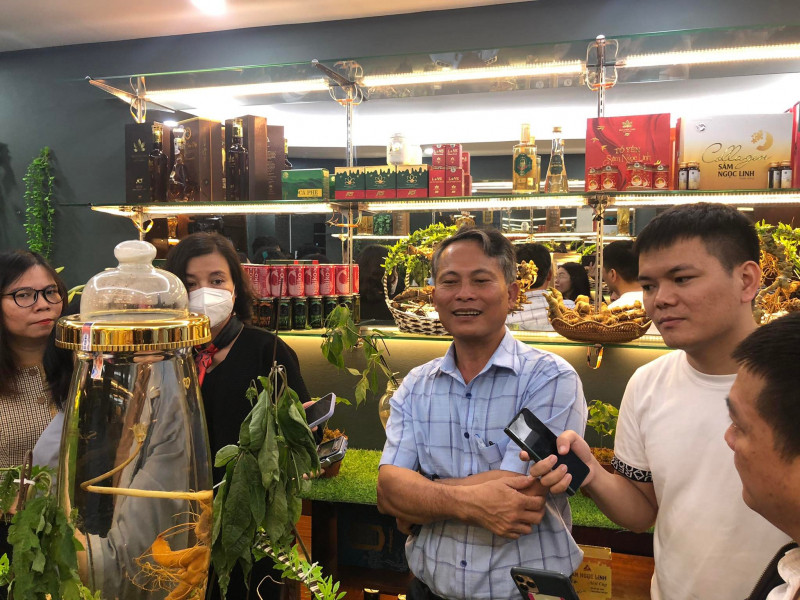 Nhận diện đúng sâm Ngọc Linh trên thị trường
