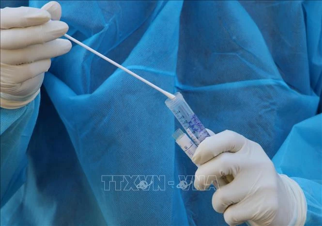 Dịch COVID-19: Tăng năng lực xét nghiệm SARS-CoV-2 thông qua phương pháp gộp mẫu