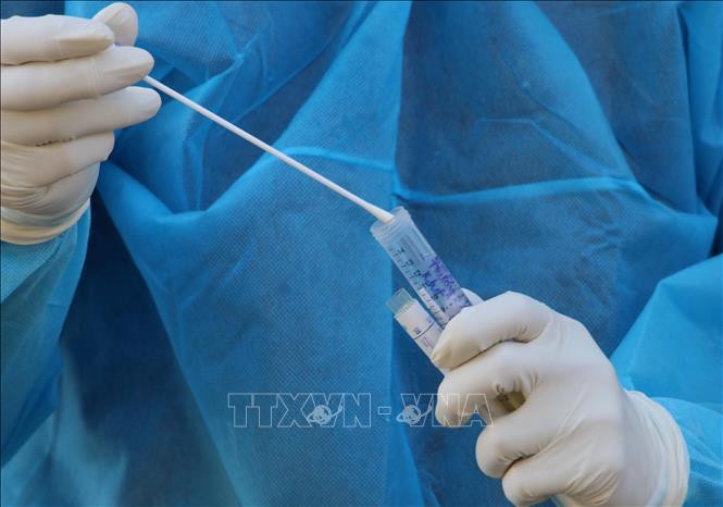 Dịch COVID-19: Tăng năng lực xét nghiệm SARS-CoV-2 thông qua phương pháp gộp mẫu
