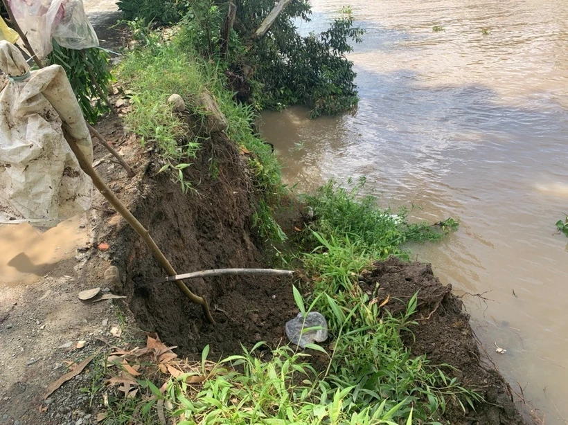 An Giang hạn chế phương tiện qua khu vực sạt lở trong thời gian gia cố tuyến đê bờ bắc kênh Tám Ngàn