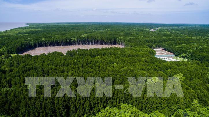 Vườn quốc gia Mũi Cà Mau nhìn từ trên cao. Ảnh: Trọng Đạt - TTXVN