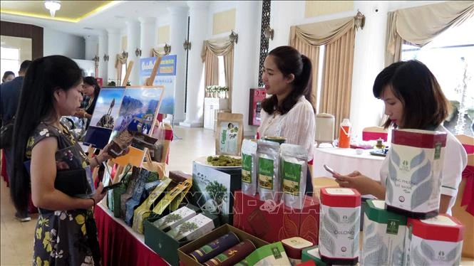 Bàn giải pháp kích cầu du lịch Lai Châu