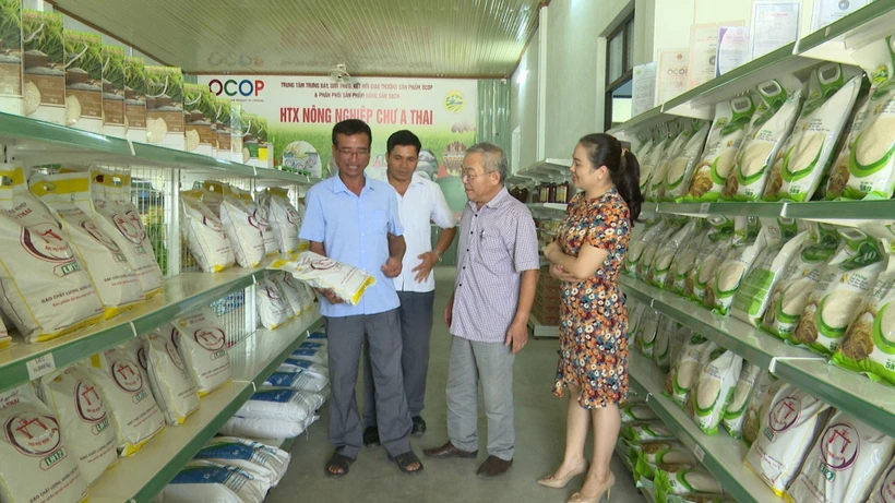 Gia Lai gỡ khó cho hợp tác xã nông nghiệp