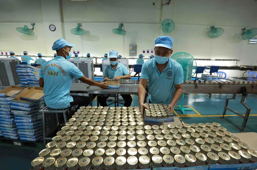 Ứng dụng khoa học nâng cao giá trị yến sào Khánh Hòa