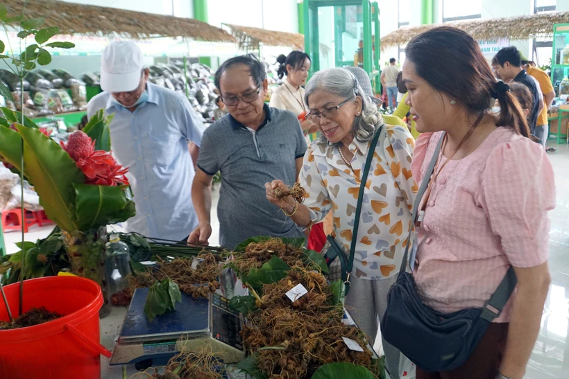 Lễ hội sâm Ngọc Linh - không gian cộng đồng gặp gỡ, giao lưu