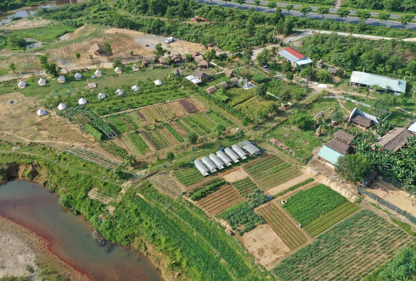 Du lịch và nông nghiệp Đà Nẵng đồng hành phát triển