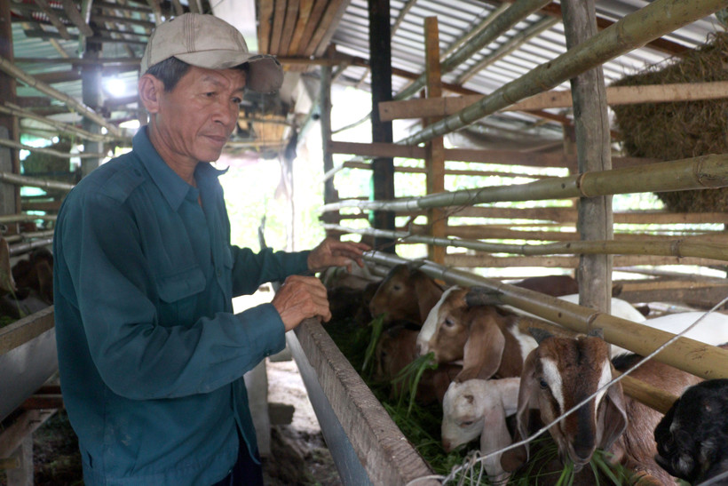 Hành trình đưa tín dụng chính sách đến với người nghèo ở Vĩnh Long (Bài cuối)