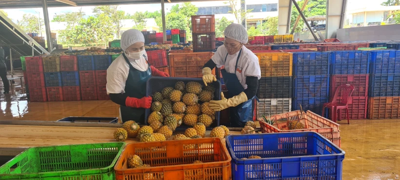Gia Lai kiến nghị cơ chế, chính sách thúc đẩy phát triển, liên kết vùng