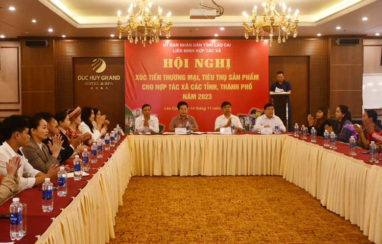 Xúc tiến thương mại, tiêu thụ sản phẩm cho các Hợp tác xã 
