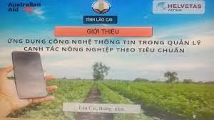 Lào Cai ứng dụng công nghệ trong quản lý, tiêu thụ nông sản