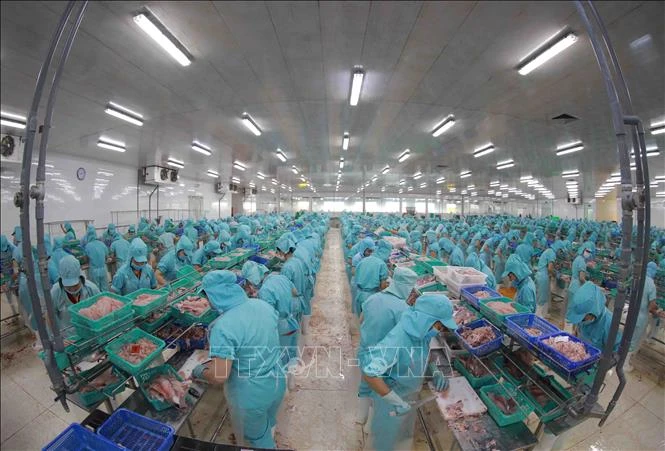 Dịch COVID-19: Tiếp tục giảm 30 khoản phí, lệ phí cho người dân, doanh nghiệp
