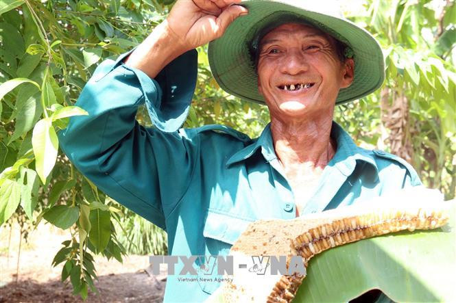 Đậm đà mật ong rừng U Minh Thượng 