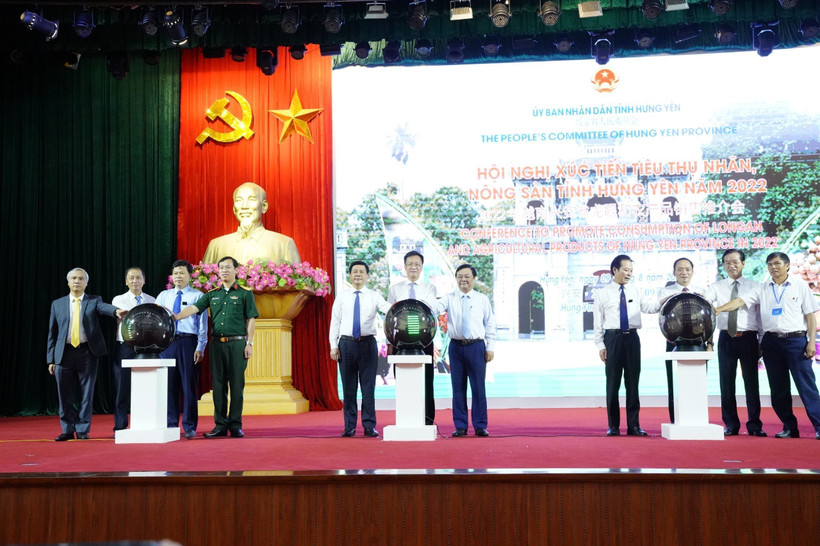 Đưa nhãn lồng Hưng Yên vươn xa