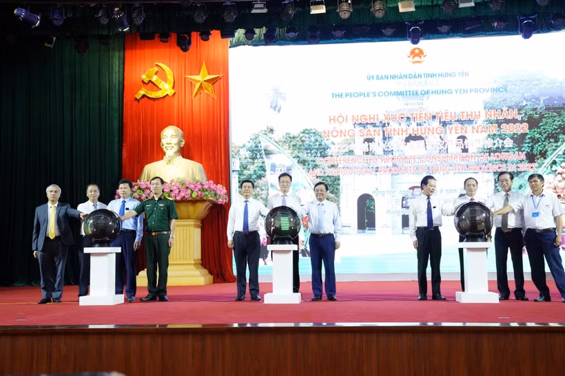Đưa nhãn lồng Hưng Yên vươn xa