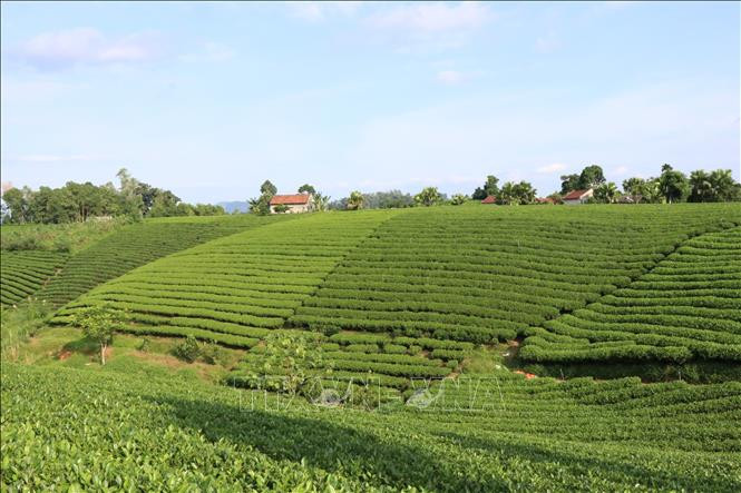 Thái Nguyên có hơn 75% số xã đạt chuẩn nông thôn mới